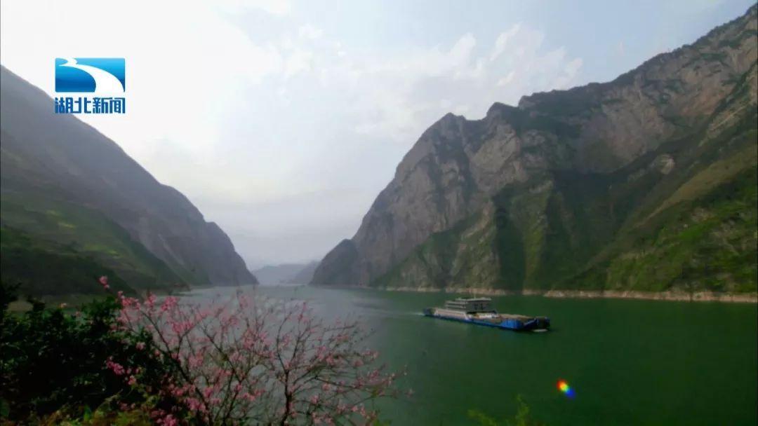 脑洞小老弟无实名认证